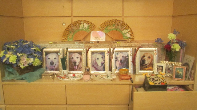 ファイル 3657-4.jpg