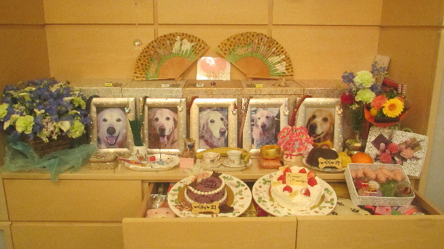 ファイル 3658-1.jpg