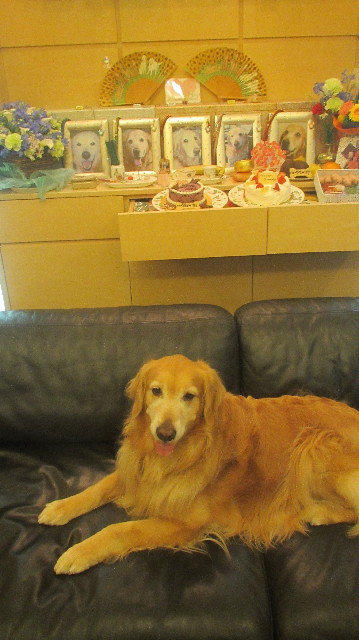 ファイル 3658-2.jpg