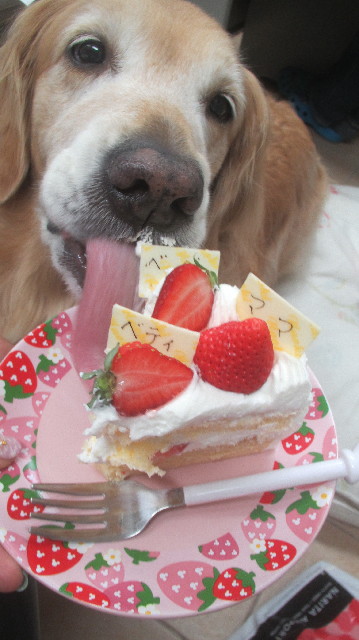 ファイル 3658-4.jpg