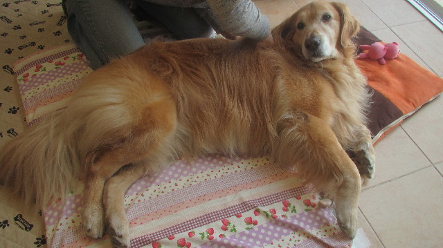 ファイル 3658-5.jpg