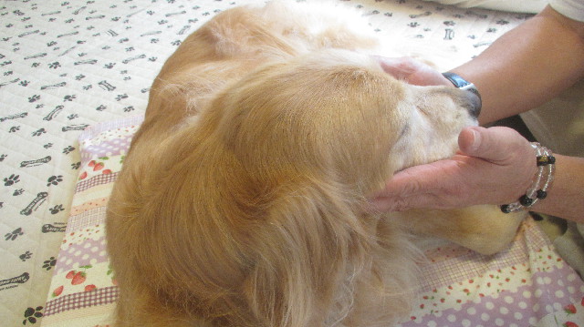 ファイル 3660-1.jpg