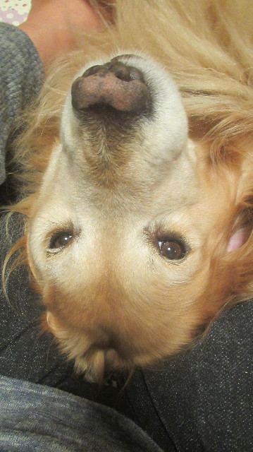 ファイル 3660-3.jpg