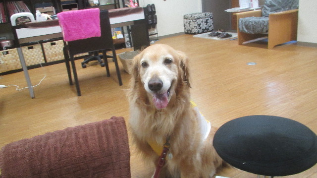 ファイル 3662-2.jpg