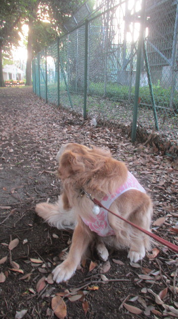 ファイル 3663-2.jpg