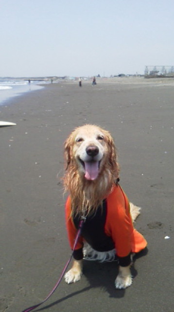 ファイル 3666-1.jpg