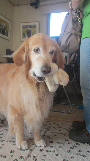 ファイル 3666-4.jpg