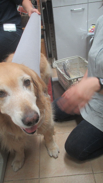 ファイル 3667-2.jpg