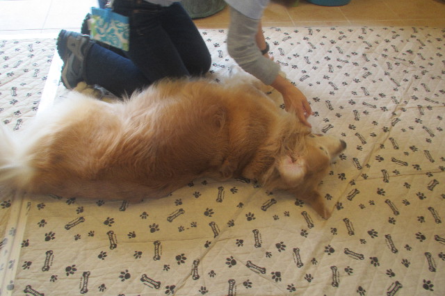 ファイル 3667-5.jpg