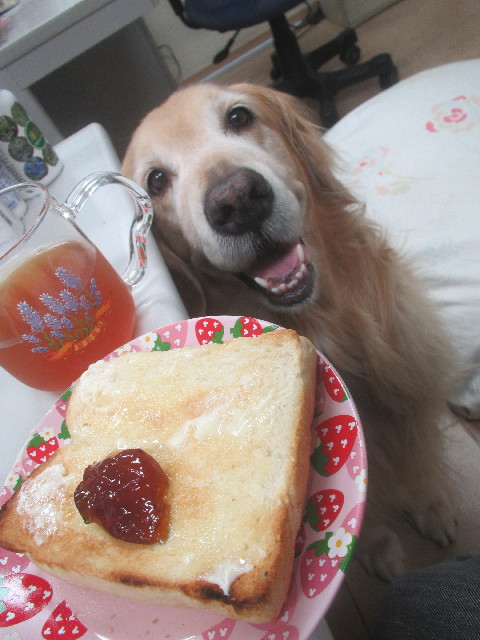 ファイル 3669-5.jpg