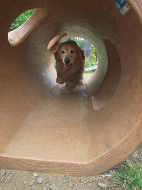 ファイル 3672-3.jpg