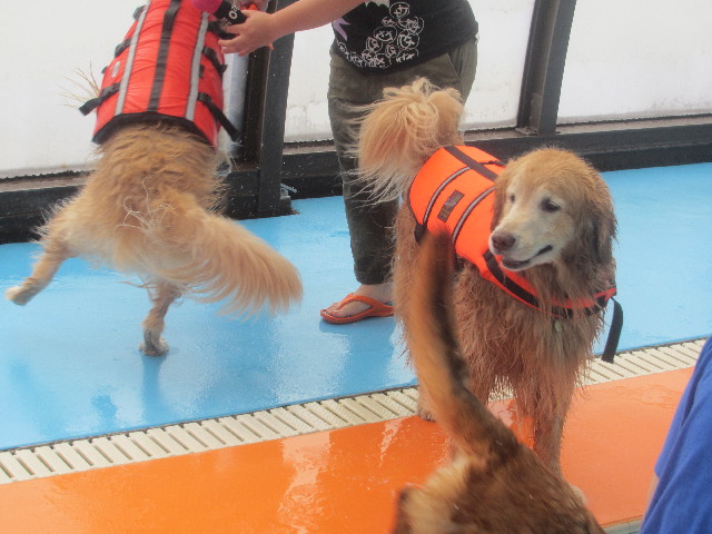 ファイル 3673-2.jpg