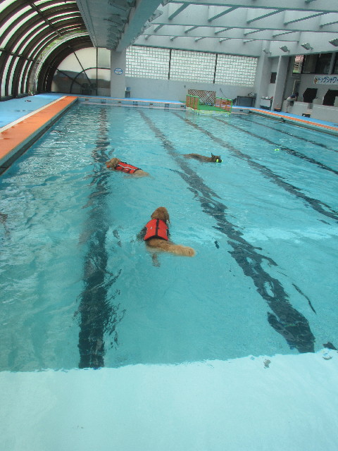 ファイル 3673-3.jpg