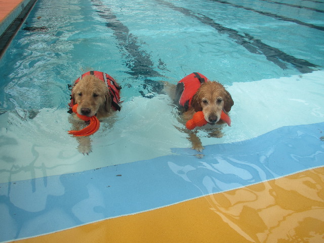 ファイル 3673-4.jpg