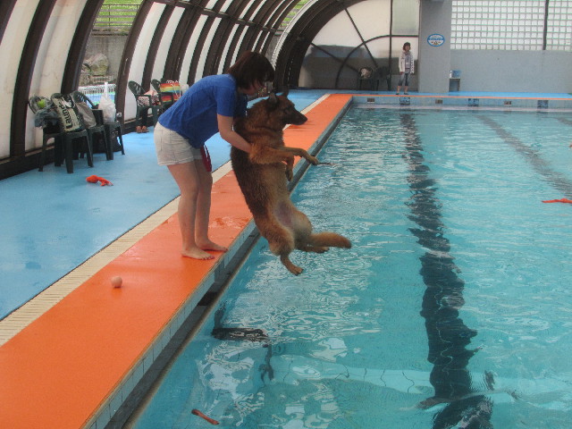 ファイル 3674-2.jpg