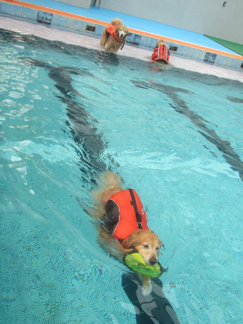 ファイル 3674-3.jpg