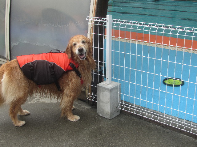 ファイル 3674-4.jpg