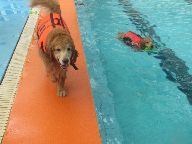 ファイル 3674-5.jpg