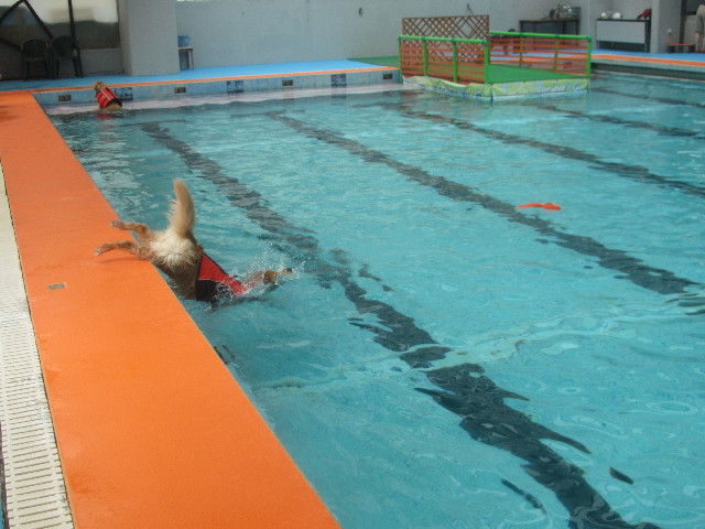 ファイル 3675-2.jpg