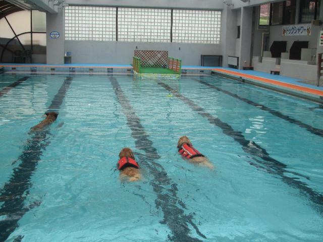 ファイル 3675-3.jpg