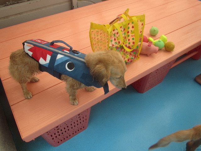 ファイル 3675-4.jpg