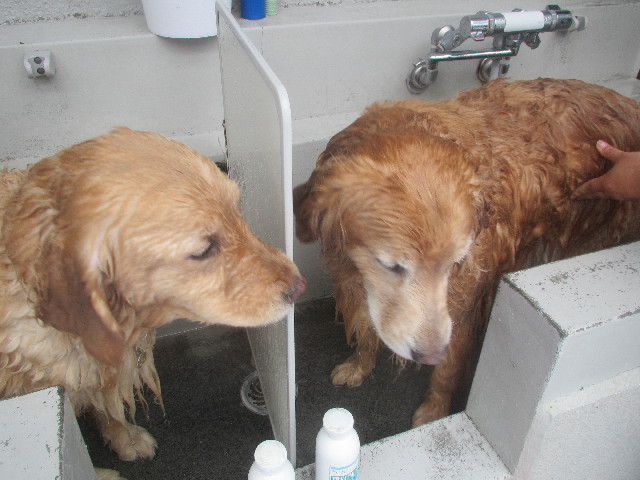 ファイル 3675-5.jpg