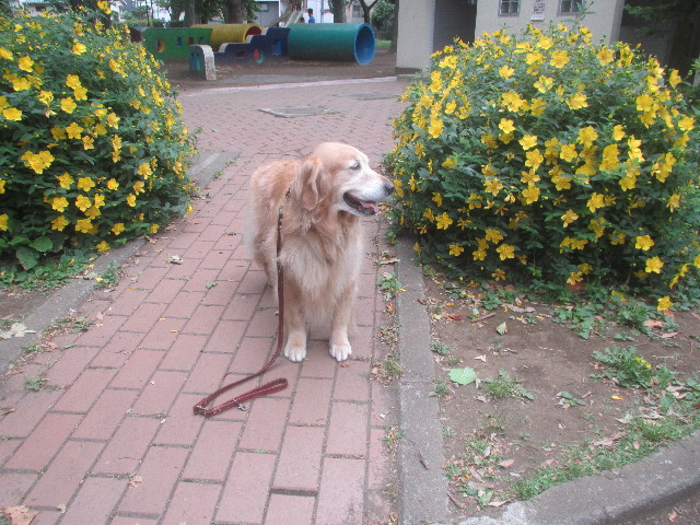 ファイル 3679-1.jpg