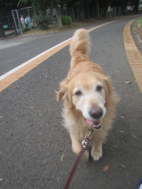 ファイル 3679-2.jpg