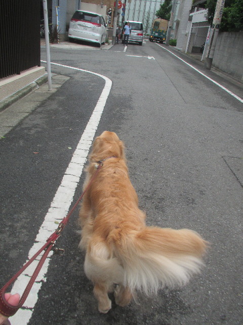 ファイル 3679-3.jpg