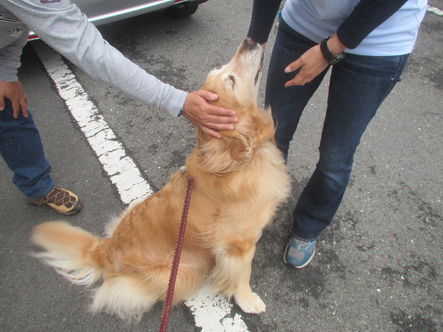 ファイル 3679-4.jpg