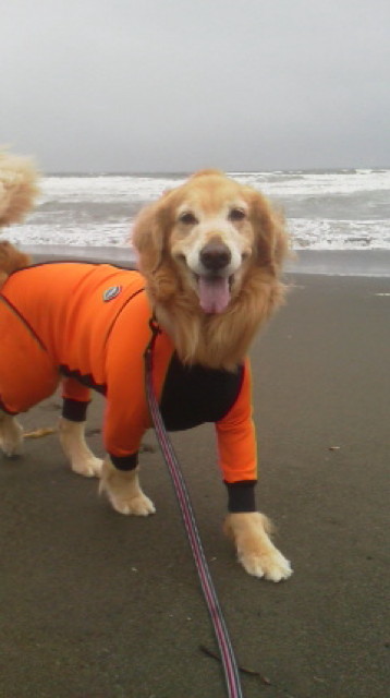 ファイル 3681-2.jpg