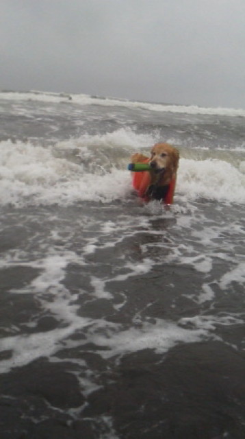 ファイル 3681-4.jpg