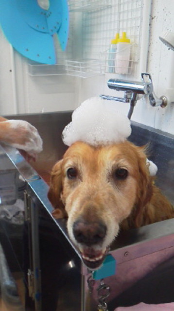 ファイル 3681-5.jpg