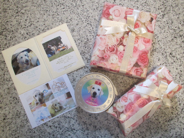 ファイル 3682-1.jpg