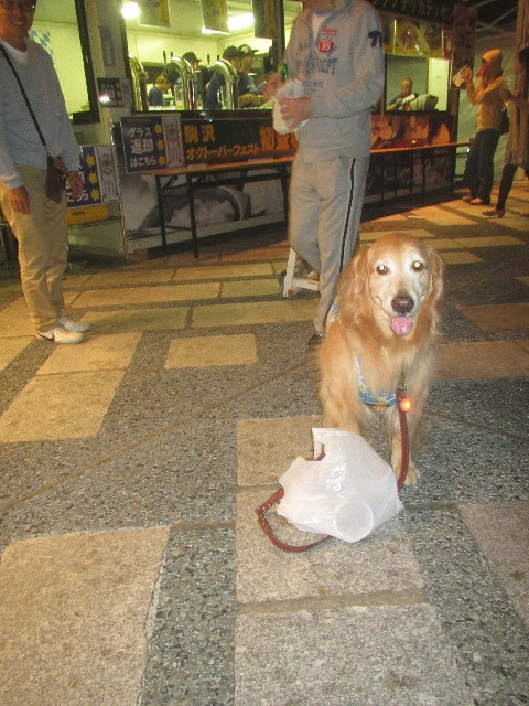 ファイル 3683-2.jpg