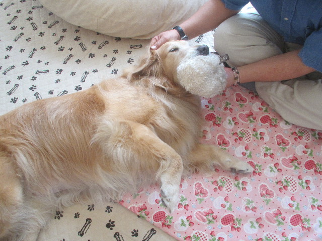 ファイル 3683-5.jpg