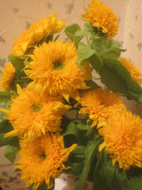 ファイル 3684-4.jpg