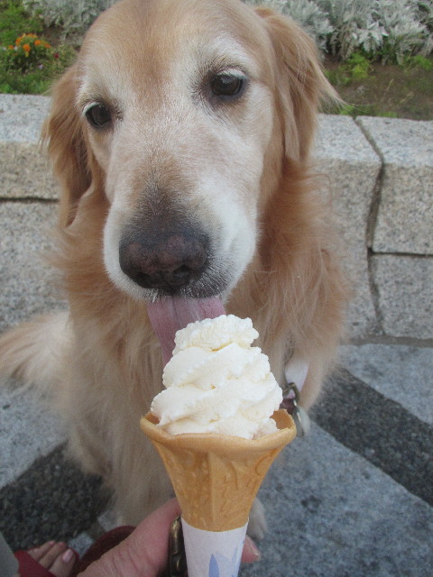 ファイル 3685-3.jpg