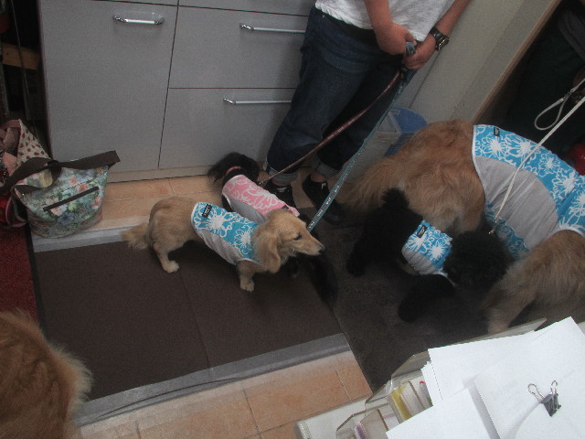 ファイル 3686-4.jpg