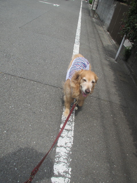 ファイル 3687-1.jpg