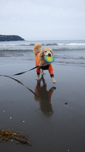 ファイル 3687-2.jpg