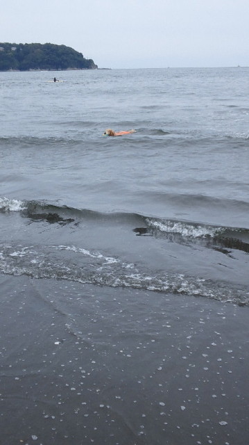 ファイル 3687-4.jpg