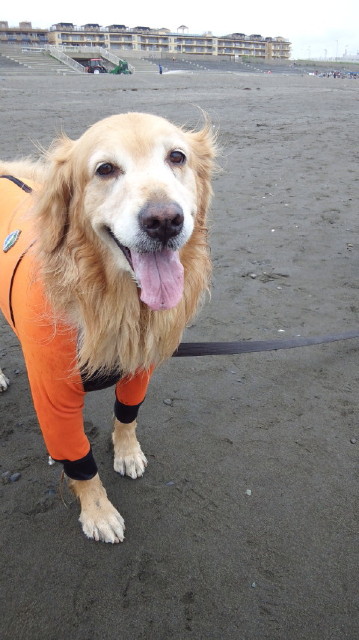 ファイル 3687-5.jpg