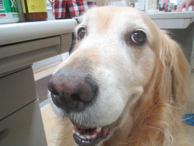 ファイル 3688-1.jpg