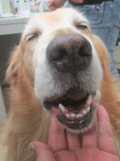 ファイル 3688-3.jpg