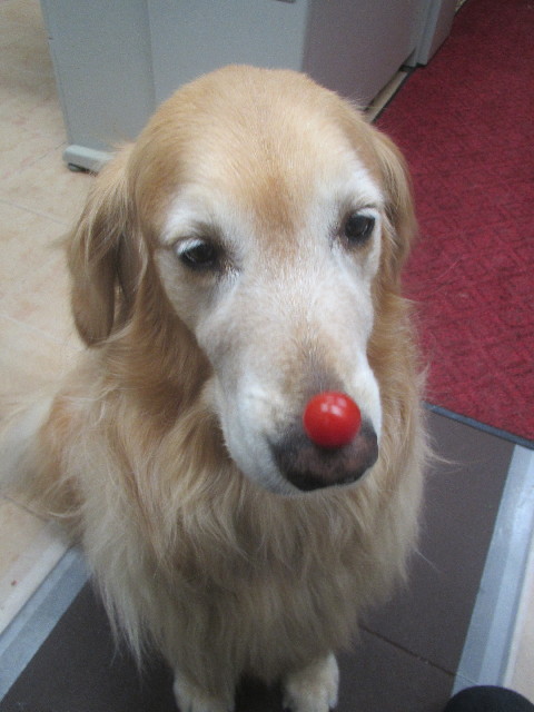 ファイル 3689-3.jpg