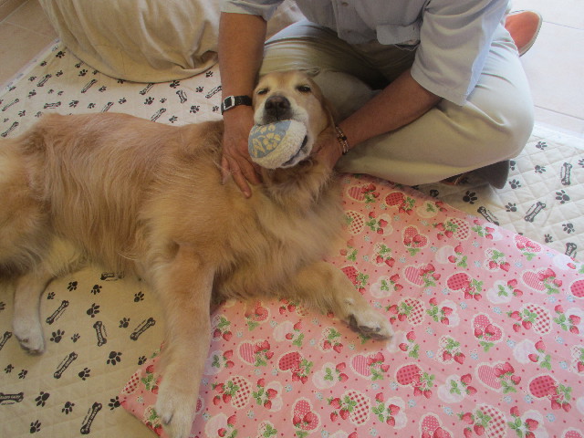 ファイル 3690-2.jpg