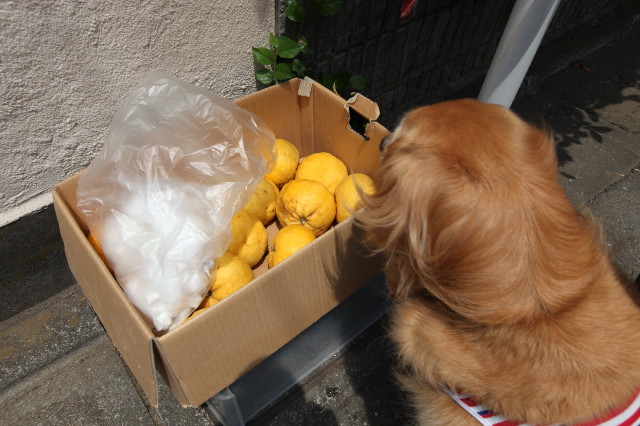 ファイル 3690-3.jpg