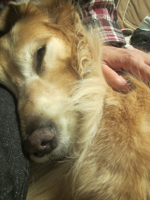 ファイル 3690-5.jpg