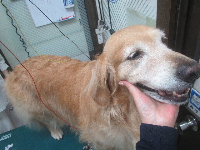 ファイル 3691-1.jpg